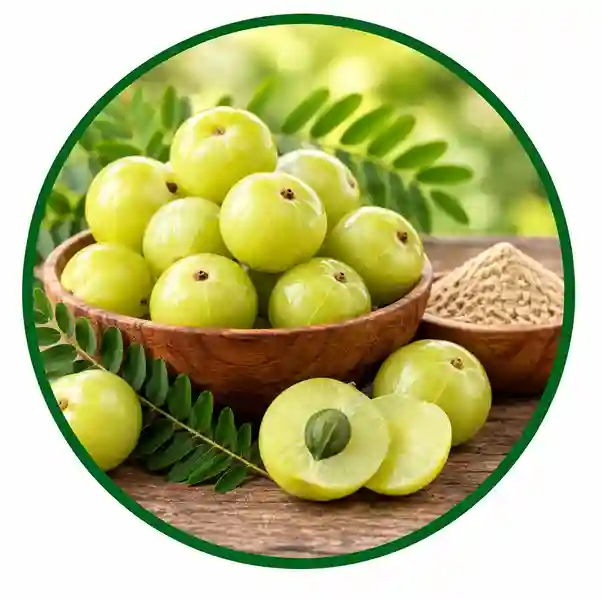 Amla (Indian gooseberry)