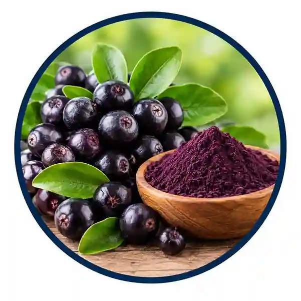 Maqui berry